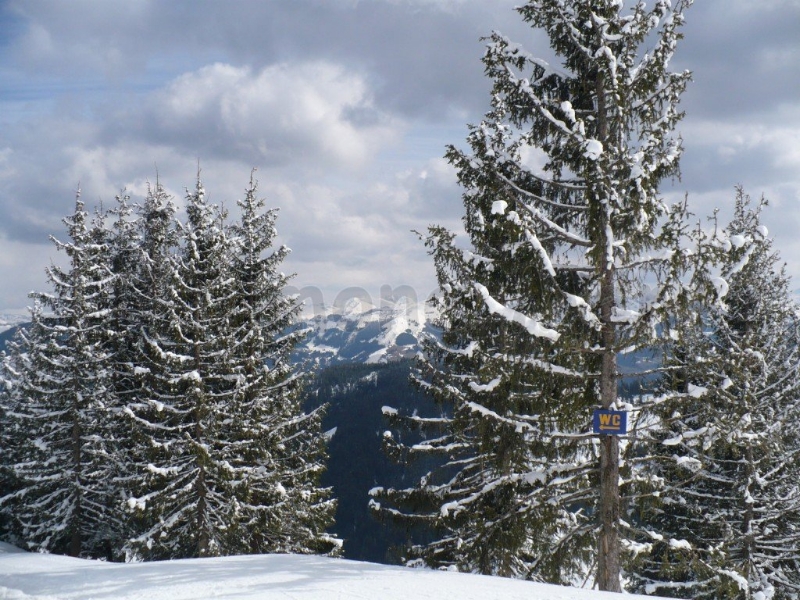 Images/073 WC im Wald.jpg